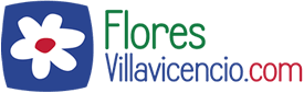 Flores Villavicencio